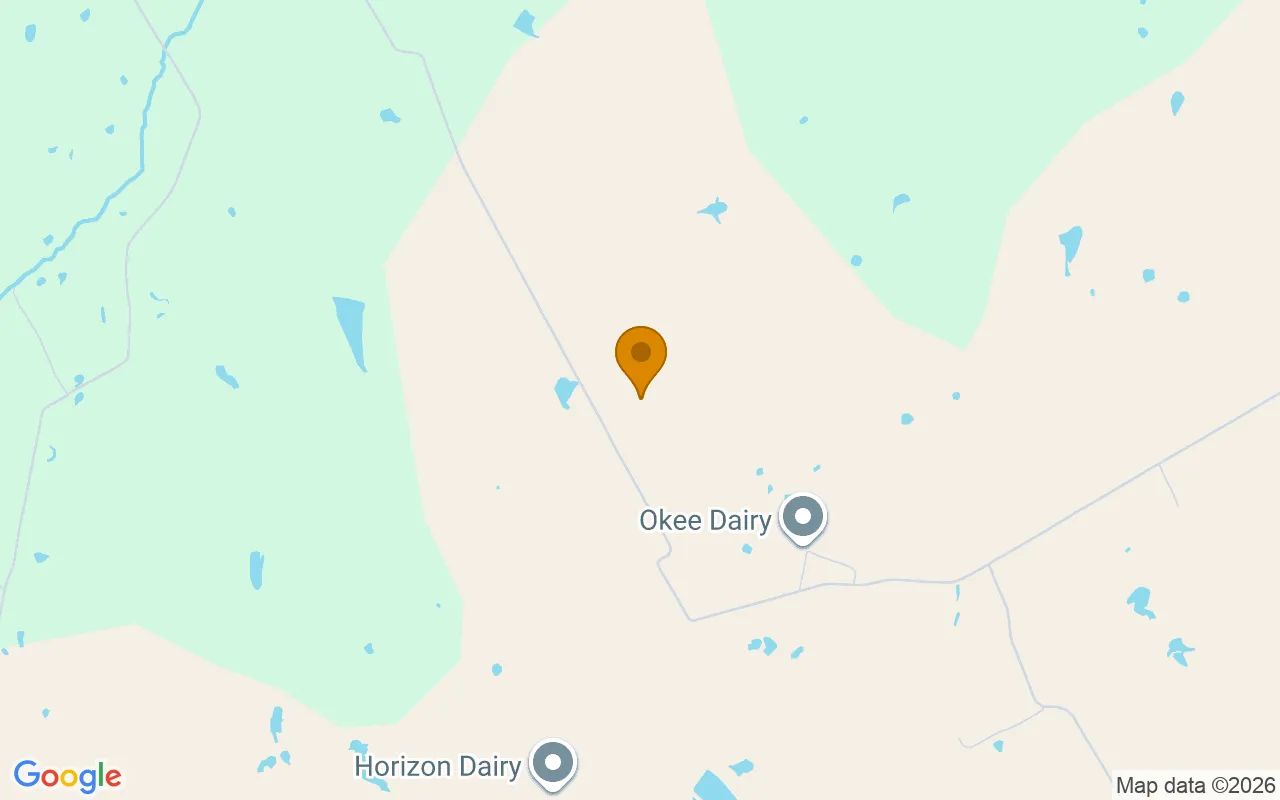 125.26 Acres in Hico - Hamilton County, TX in Hamilton County, TX