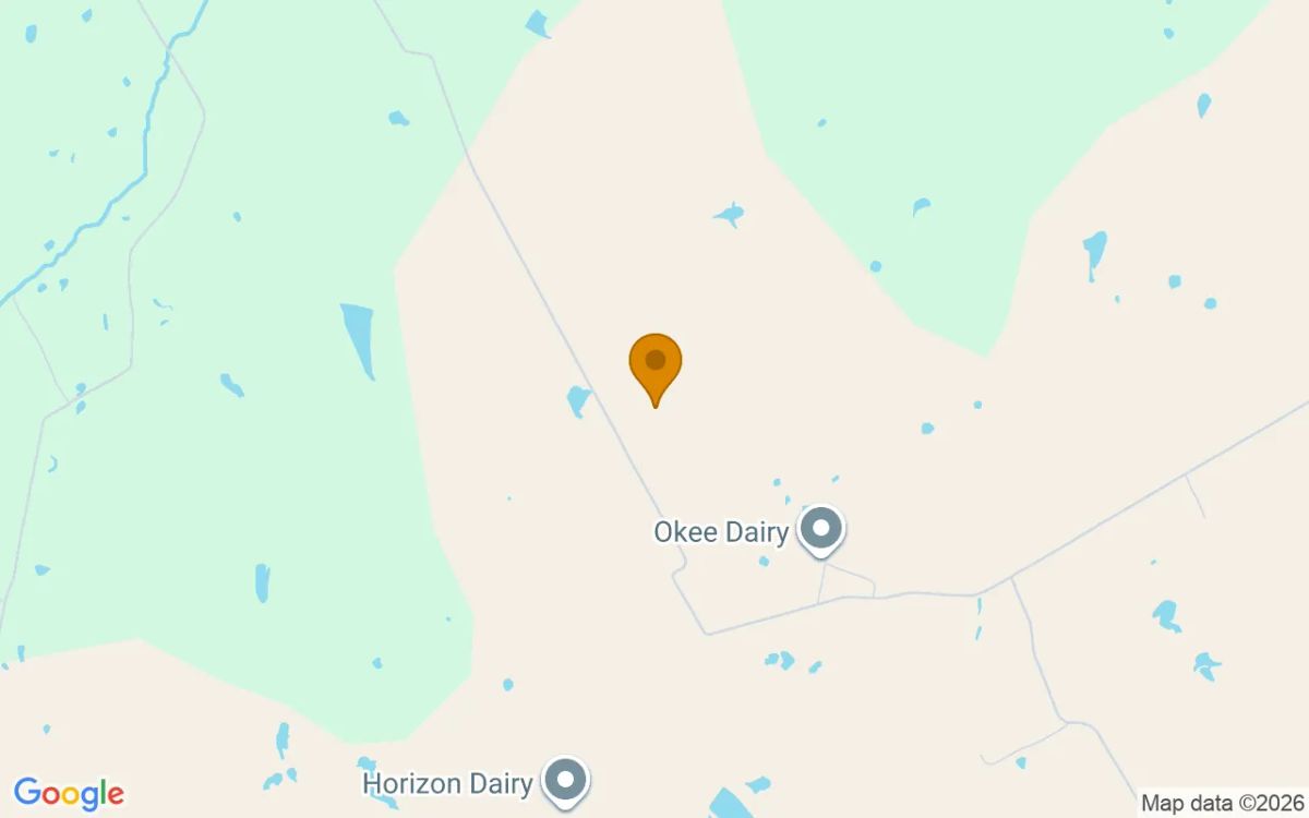125.26 Acres in Hico - Hamilton County, TX - Image 4