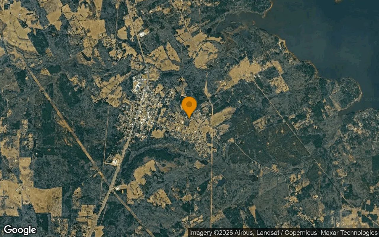 0.55 Acres in Ore City - Upshur County, TX in Upshur County, TX