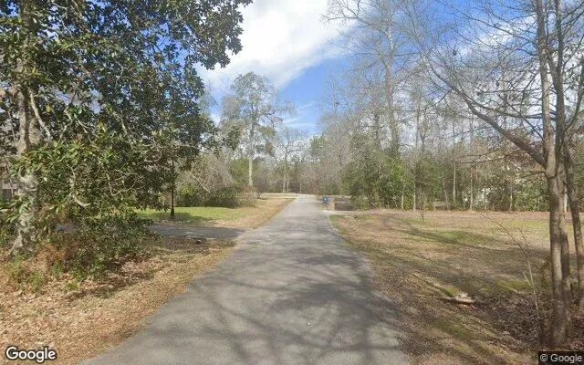 Decorative background for 0.55 Acres in Kountze - Hardin County, TX image 5