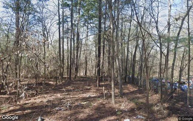Decorative background for 1.5 Acres in Kilgore - Rusk County, TX image 6