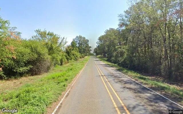 Decorative background for 34.95 Acres in Shelbyville - Shelby County, TX image 5