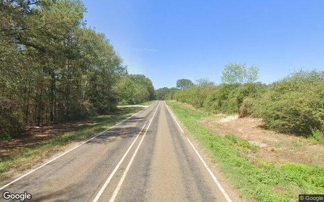 Decorative background for 34.95 Acres in Shelbyville - Shelby County, TX image 6