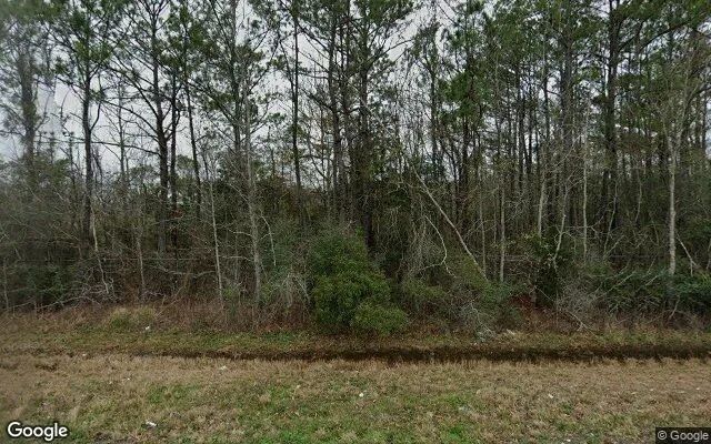124.03 Acres in Orange - Newton County, TX in Newton County, TX