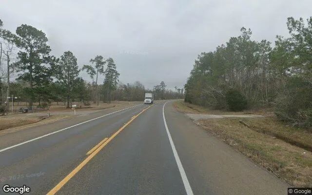 Decorative background for 124.03 Acres in Orange - Newton County, TX image 5