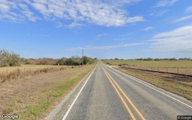 Decorative background for 124.62 Acres in Yorktown - De Witt County, TX image 6