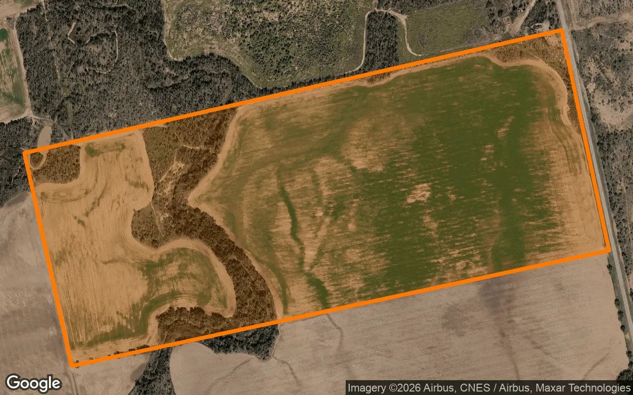 124.74 Acres in Jones - Jones County, TX in Jones County, TX