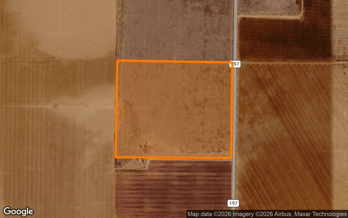 Decorative background for 36.39 Acres in Morton - Cochran County, TX image 6