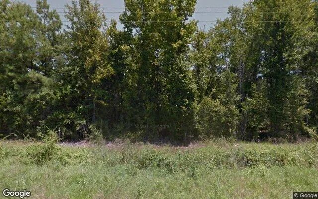 34.98 Acres in De Berry - Panola County, TX in Panola County, TX