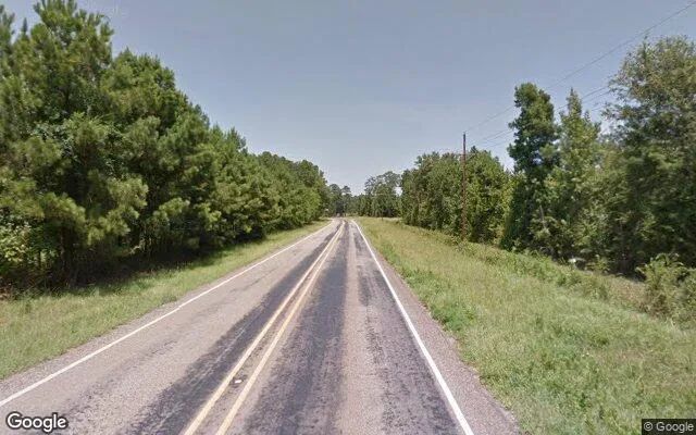 Decorative background for 34.98 Acres in De Berry - Panola County, TX image 5