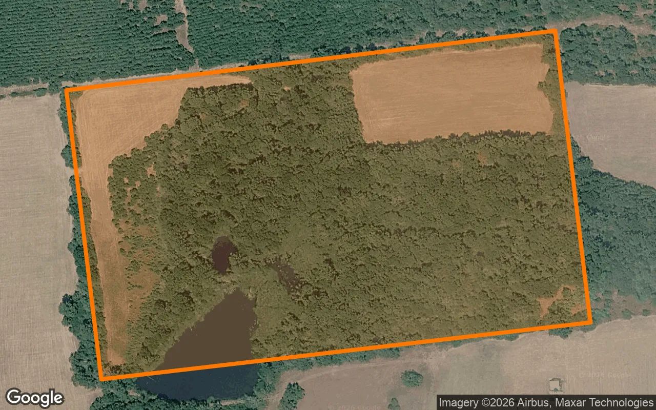 34.99 Acres in Grapeland - Houston County, TX in Houston County, TX