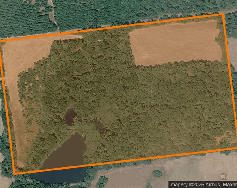 34.99 Acres in Grapeland - Houston County, TX in Houston County, TX