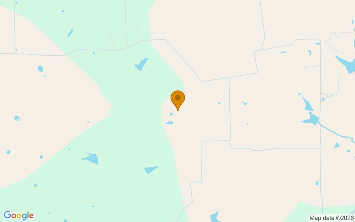 34.99 Acres in Grapeland - Houston County, TX - Image 4