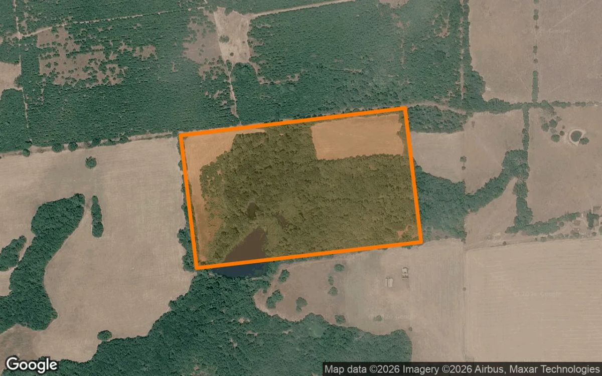 Decorative background for 34.99 Acres in Grapeland - Houston County, TX image 6