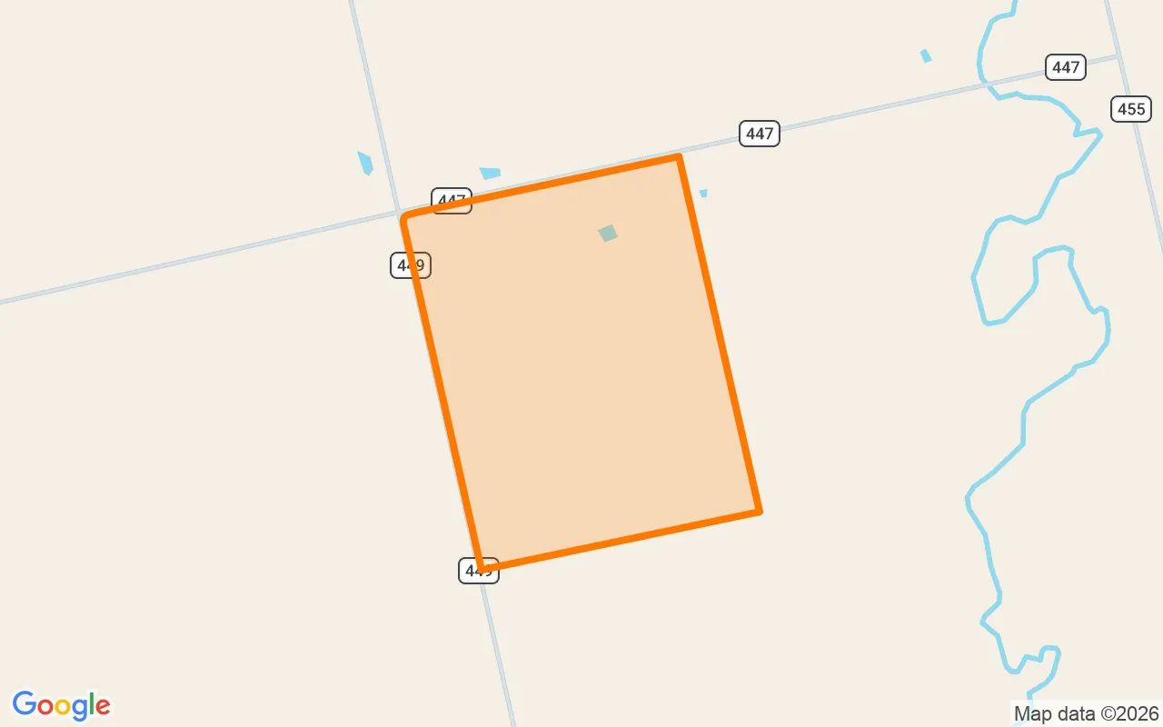 124.77 Acres in Jones - Jones County, TX in Jones County, TX