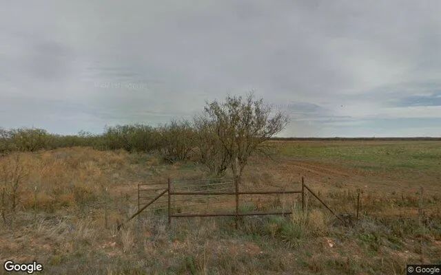 124.77 Acres in Jones - Jones County, TX - Image 4