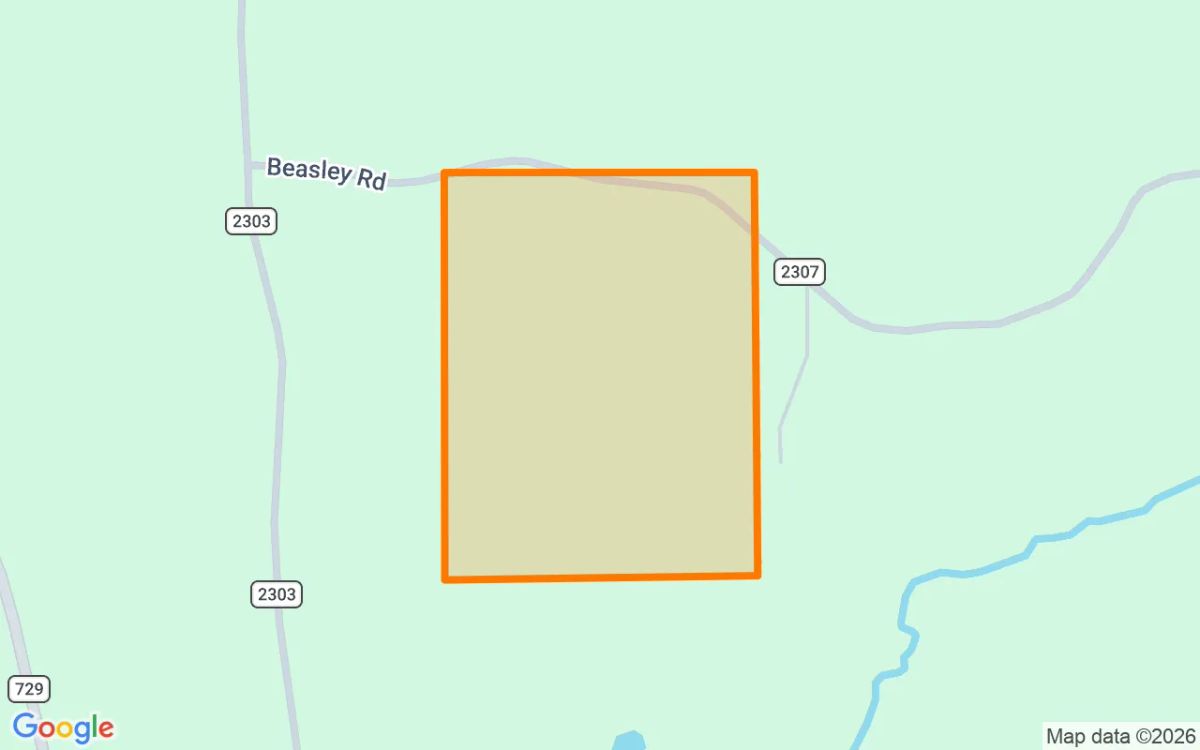35.06 Acres in Lone Star - Morris County, TX - Image 2