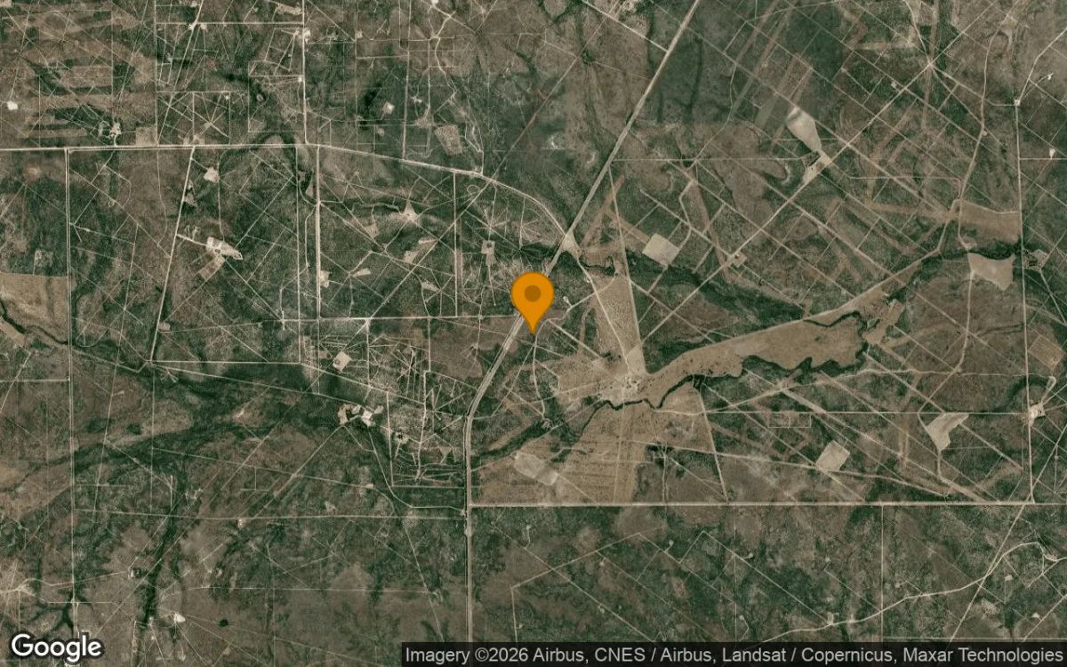 125.37 Acres in Duval - Duval County, TX - Image 3