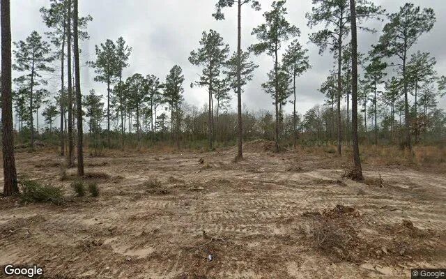 15.01 Acres in Warren - Tyler County, TX in Tyler County, TX