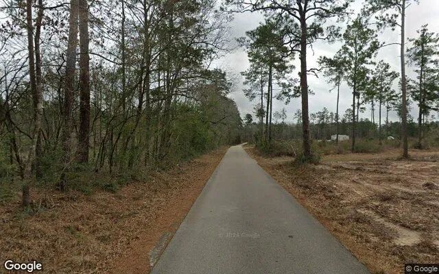 Decorative background for 15.01 Acres in Warren - Tyler County, TX image 5