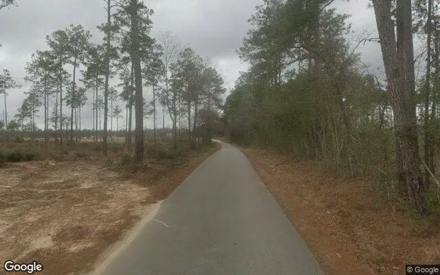 Decorative background for 15.01 Acres in Warren - Tyler County, TX image 6