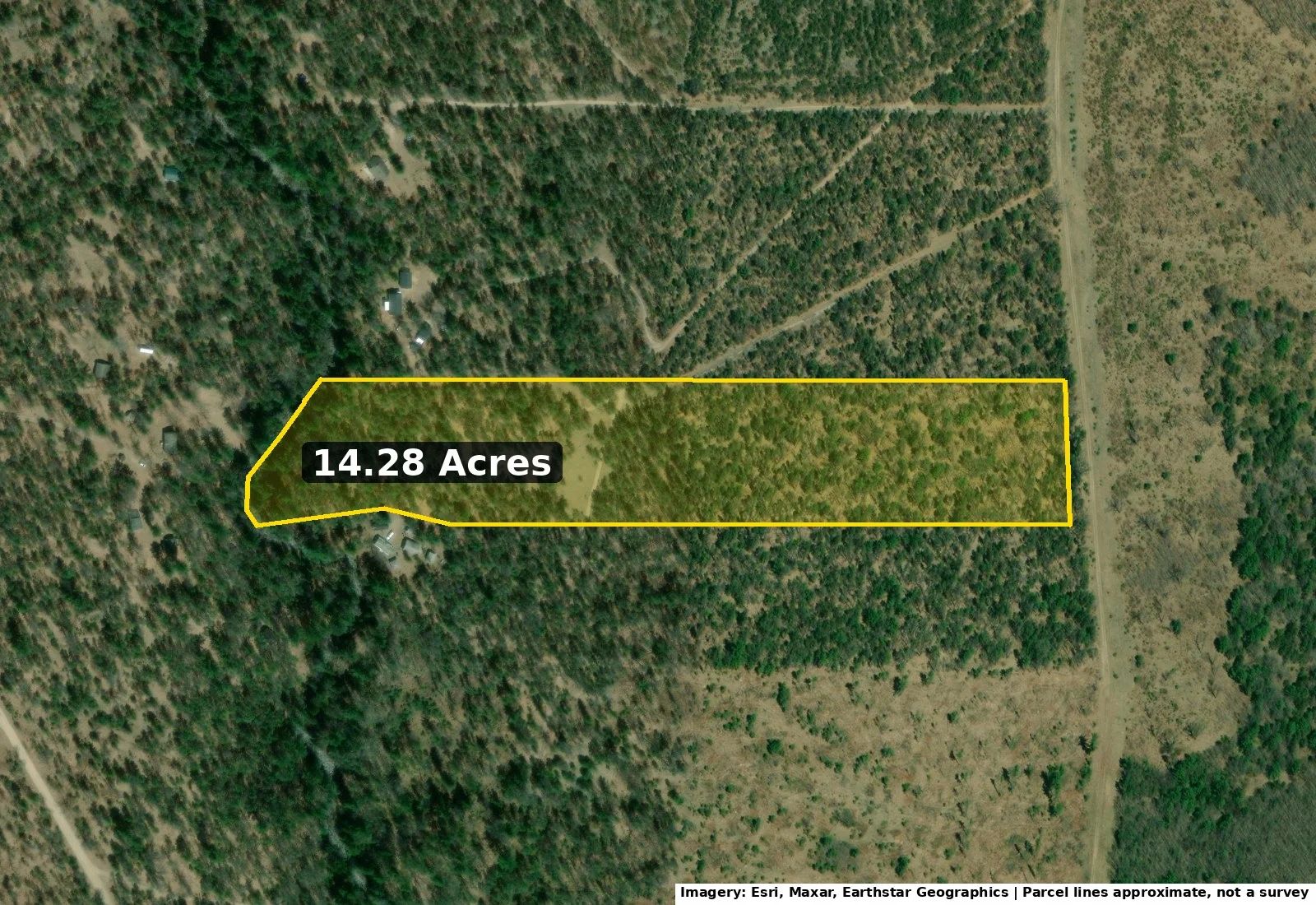 14.28 Acres on Trout Creek, State Forest Across the Road – $79,900