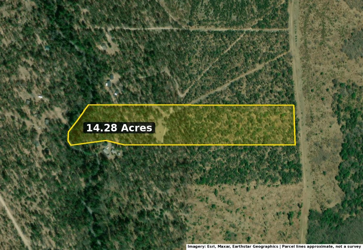 14.28 Acres on Trout Creek, State Forest Across the Road – $79,900 - Main image