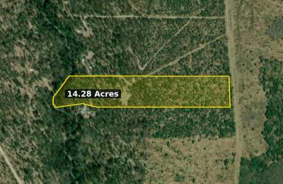 14.28 Acres on Trout Creek, State Forest Across the Road – $79,900