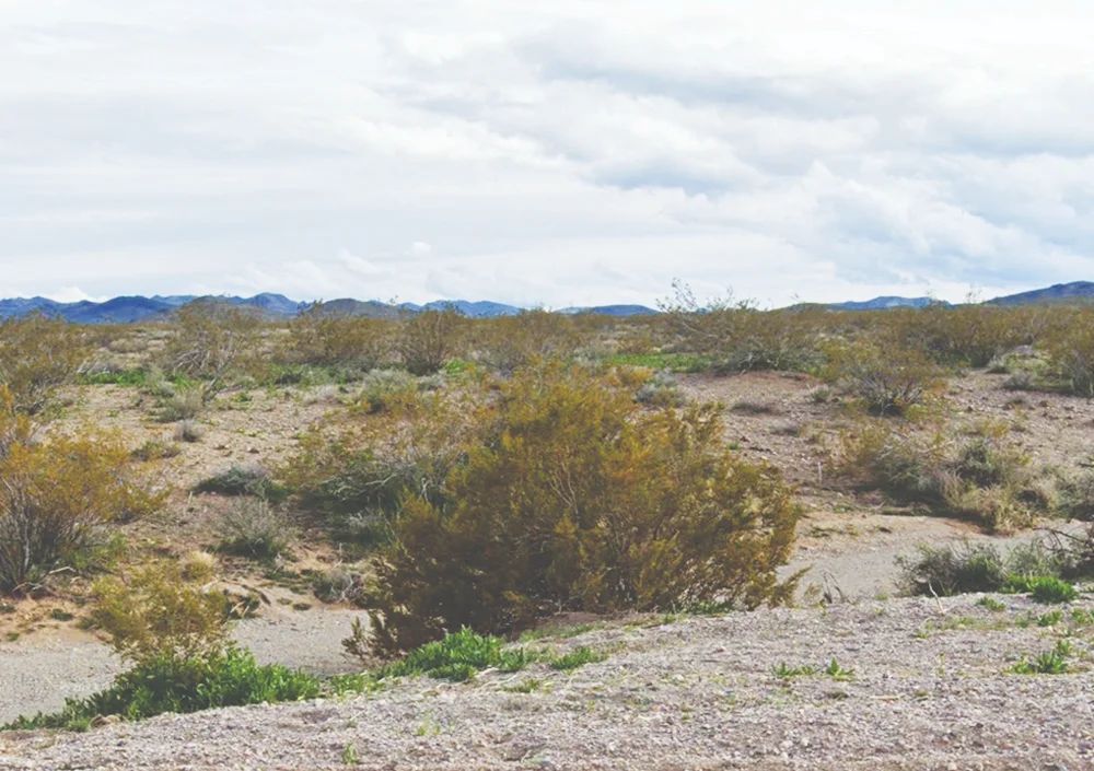 20% PRICE DROP -Investment Gem - 1 Acre Mohave, AZ - 350-12-137 in Mohave County, AZ