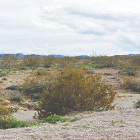 20% PRICE DROP -Investment Gem - 1 Acre Mohave, AZ - 350-12-137 in Mohave County, AZ