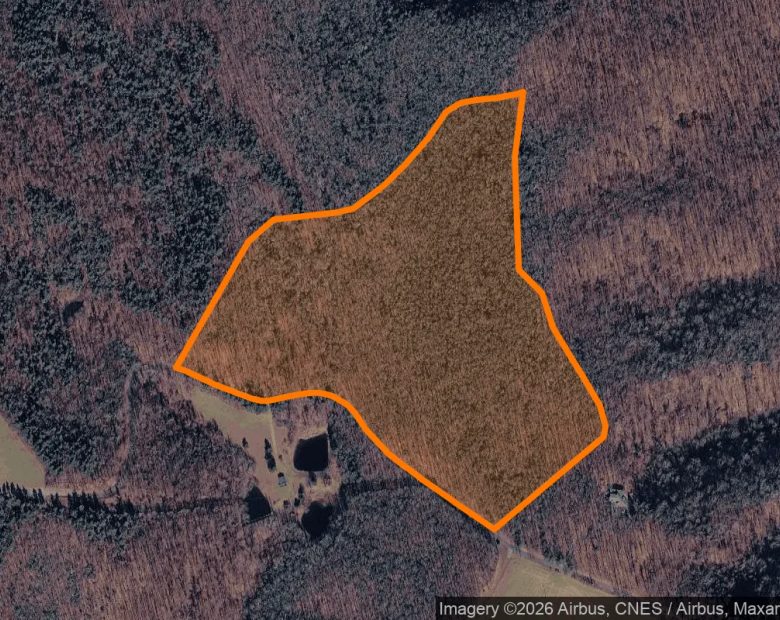 34.93 Acres in Woolwine - Patrick County, VA in Patrick County, VA
