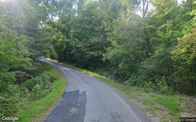 Decorative background for 34.93 Acres in Woolwine - Patrick County, VA image 5