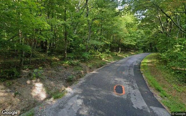 Decorative background for 34.93 Acres in Woolwine - Patrick County, VA image 6