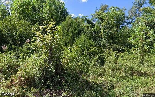 Decorative background for 3.12 Acres in Covesville - Albemarle County, VA image 5