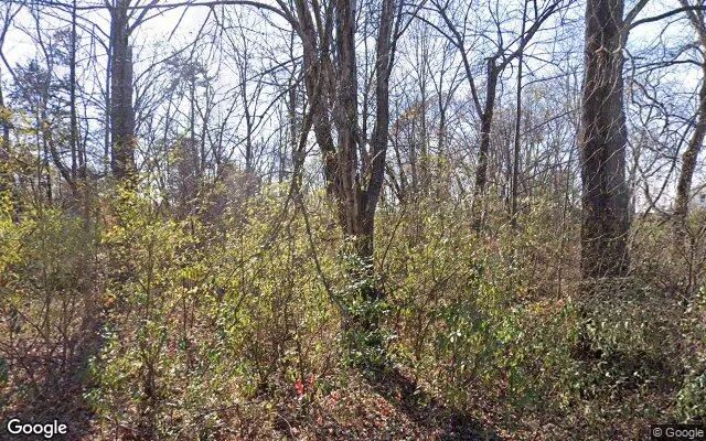 0.4 Acres in Reva - Madison County, VA - Image 4
