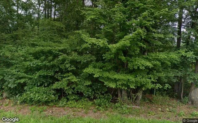 0.64 Acres in Schuyler - Nelson County, VA - Image 4