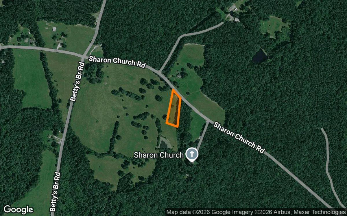 Decorative background for 0.93 Acres in Arvonia - Buckingham County, VA image 6