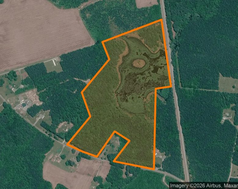 34.89 Acres in Dinwiddie - Dinwiddie County, VA in Dinwiddie County, VA