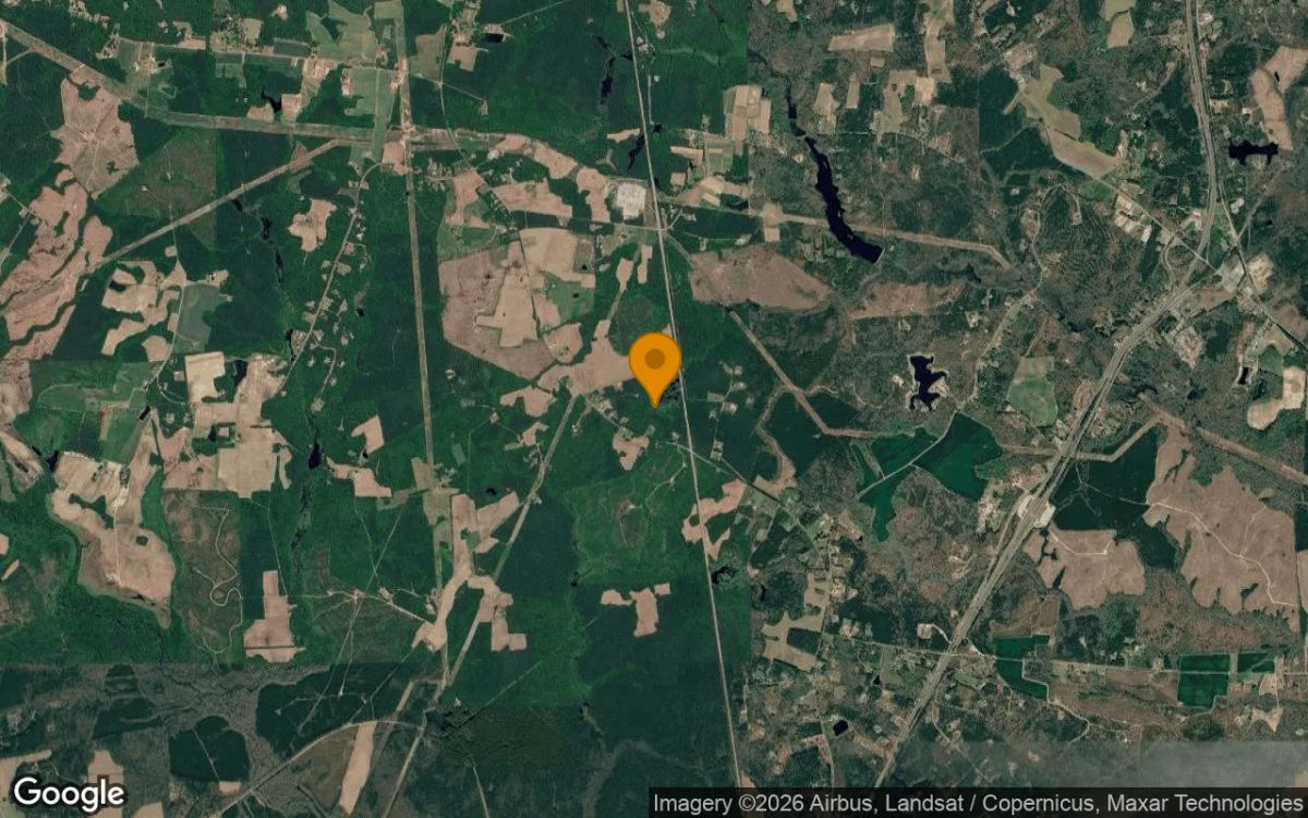 34.89 Acres in Dinwiddie - Dinwiddie County, VA - Image 3