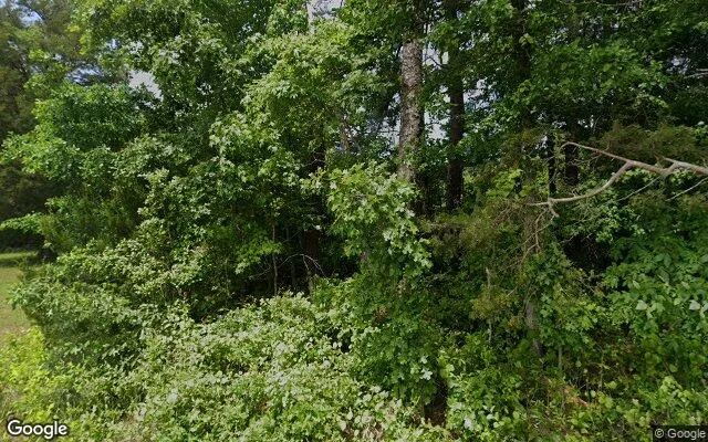 34.89 Acres in Dinwiddie - Dinwiddie County, VA in Dinwiddie County, VA