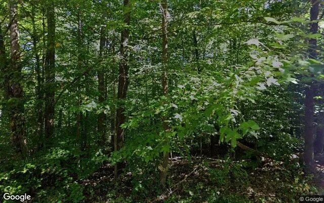 0.19 Acres in Brookneal - Campbell County, VA in Campbell County, VA