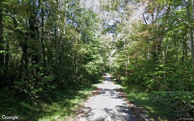 Decorative background for 0.19 Acres in Brookneal - Campbell County, VA image 5