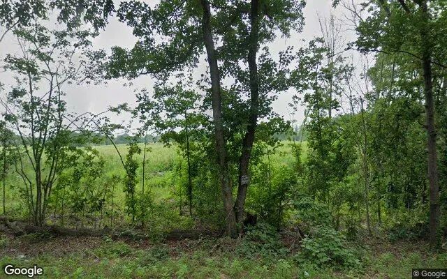 15.16 Acres in Farmville - Cumberland County, VA - Image 4