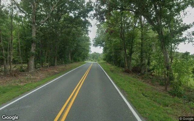 Decorative background for 15.16 Acres in Farmville - Cumberland County, VA image 5