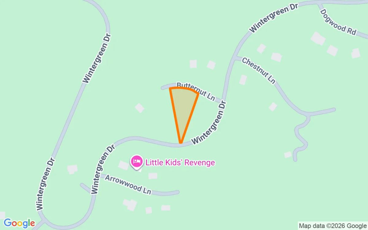 0.55 Acres in Wintergreen Resort - Nelson County, VA - Image 2