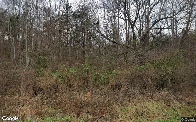 8.6 Acres in Haywood - Madison County, VA - Image 4