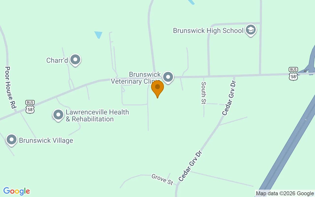 0.43 Acres in Lawrenceville - Brunswick County, VA in Brunswick County, VA