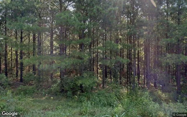 1.64 Acres in Prospect - Prince Edward County, VA - Image 4
