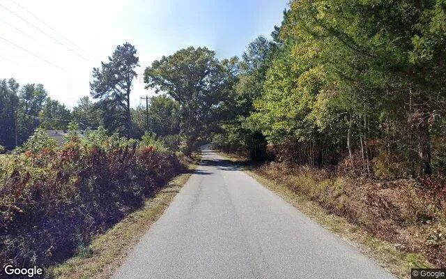 Decorative background for 7.51 Acres in Dolphin - Brunswick County, VA image 5