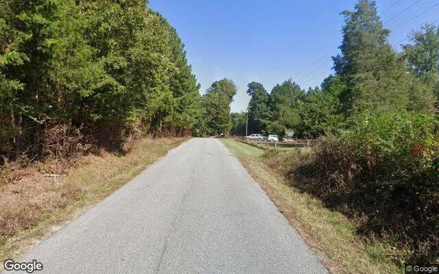 Decorative background for 7.51 Acres in Dolphin - Brunswick County, VA image 6